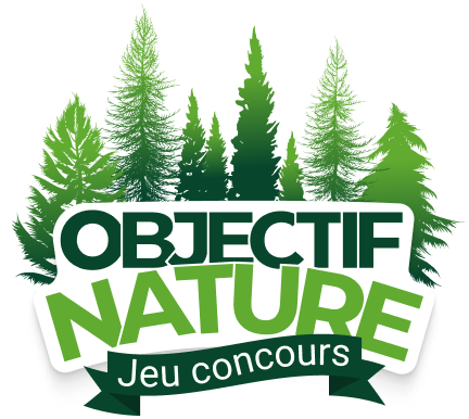 Regina logo